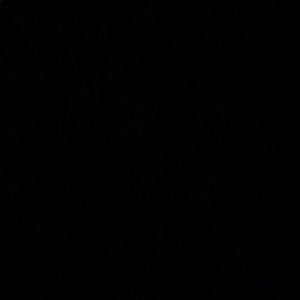 Meet your Posher, Sandi